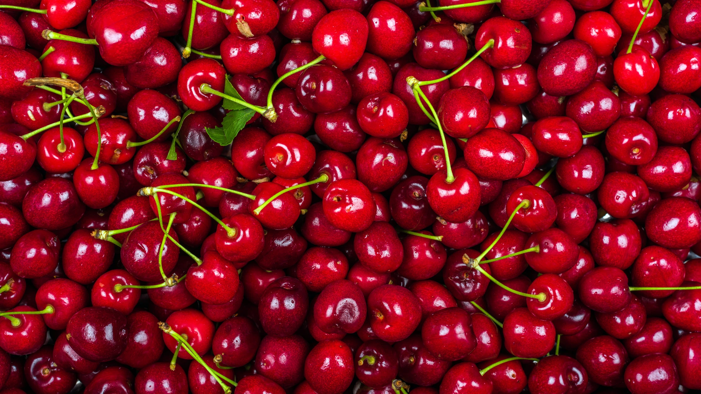 Foods That May Help Reduce Pain and Increase Mobility in the Joints Banner